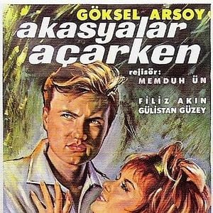 Fotoğraf Akasyalar Açarken