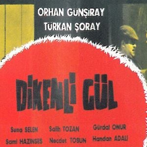 Fotoğraf Dikenli Gül