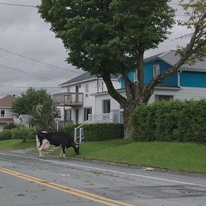 Fotoğraf Aç Gezenler