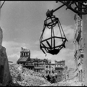 Fotoğraf Boyalı Kuş