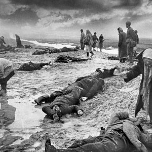 Fotoğraf Boyalı Kuş