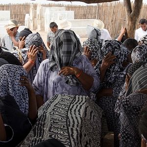 Fotoğraf Göç Mevsimi