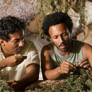 Fotoğraf Göç Mevsimi