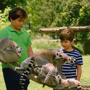 Fotoğraf Konuşan Hayvanlar