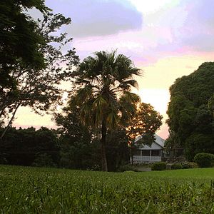 Fotoğraf Running For Grace