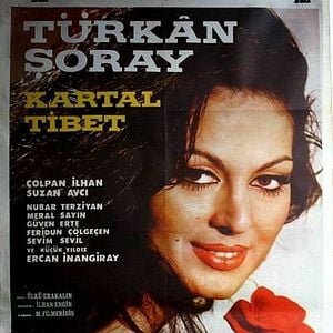 Fotoğraf Siyah Gül