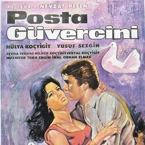 Fotoğraf Posta Güvercini