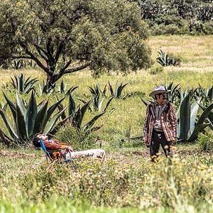 Fotoğraf Me gusta, pero me asusta