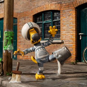 Fotoğraf Kuzular Firarda