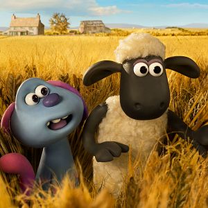 Fotoğraf Kuzular Firarda