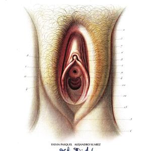 Fotoğraf El diablo entre las piernas