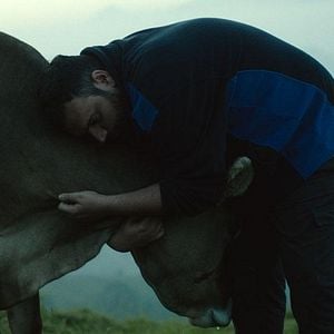 Fotoğraf Lessons of Love