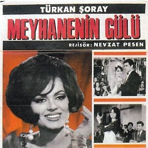 Fotoğraf Meyhanenin Gülü