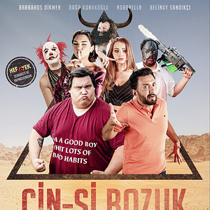 Fotoğraf Cin-si Bozuk