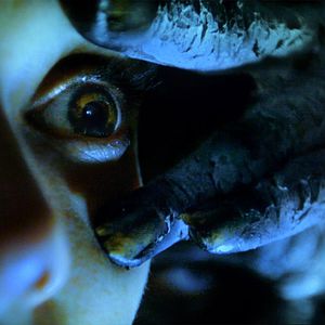 Fotoğraf Korkunun Sesi