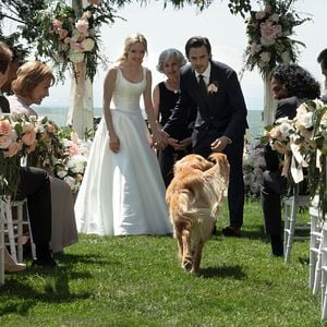 Fotoğraf Enzo: Yağmurda Yarış Sanatı