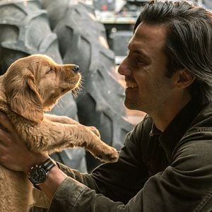 Fotoğraf Enzo: Yağmurda Yarış Sanatı