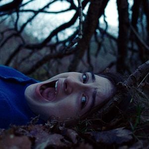 Fotoğraf The Other Lamb