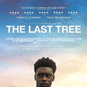 Fotoğraf The Last Tree