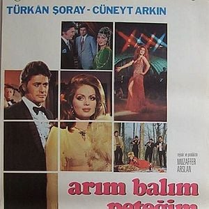 Fotoğraf Arım, Balım, Peteğim