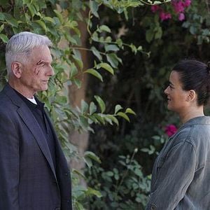 Fotoğraf Mark Harmon