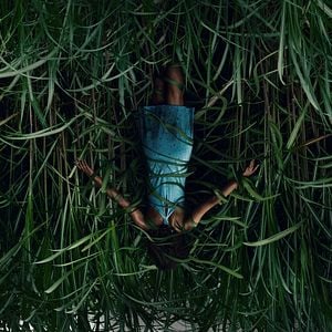 Fotoğraf In the Tall Grass