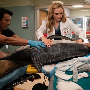 Fotoğraf Fiona Gubelmann