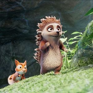 Fotoğraf Kirpi Latte ve Büyülü Taş