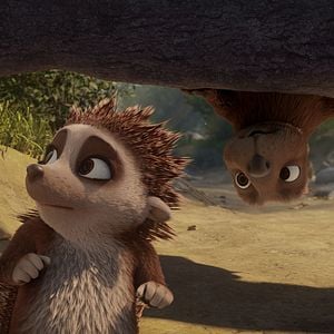 Fotoğraf Kirpi Latte ve Büyülü Taş