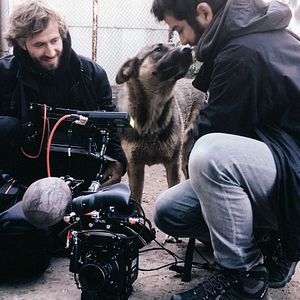 Fotoğraf Space Dogs