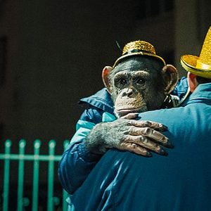 Fotoğraf Space Dogs