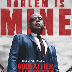 Fotoğraf Godfather of Harlem