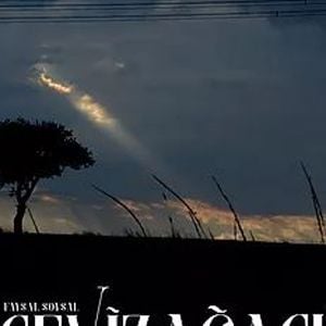 Fotoğraf Ceviz Ağacı