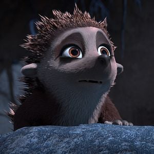 Fotoğraf Kirpi Latte ve Büyülü Taş