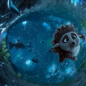 Fotoğraf Kirpi Latte ve Büyülü Taş