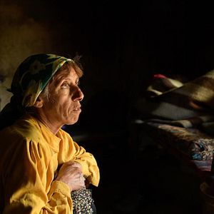 Fotoğraf Bal Ülkesi