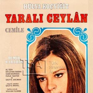 Fotoğraf Yaralı Ceylan