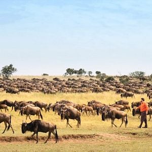 Fotoğraf Nurullah Çelebi