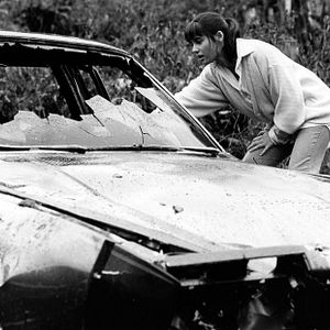 Fotoğraf The Stepfather