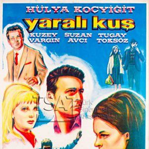 Fotoğraf Yaralı Kuş