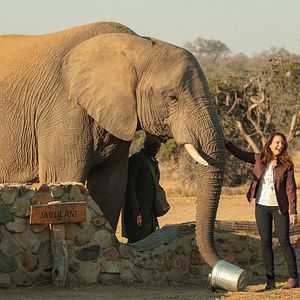 Fotoğraf Holiday In The Wild