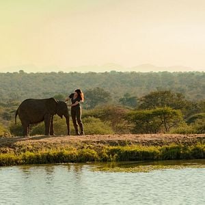 Fotoğraf Holiday In The Wild