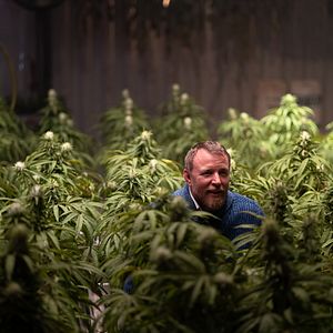 Fotoğraf The Gentlemen