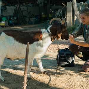 Fotoğraf Noémie Schmidt