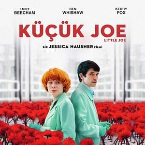 Fotoğraf Küçük Joe