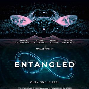 Fotoğraf Multiverse