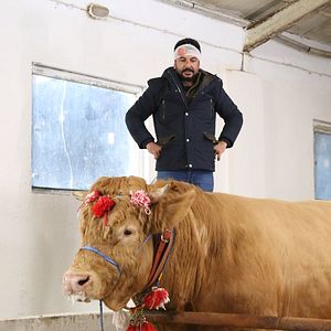 Fotoğraf Kuzey Yıldızı (ilk aşk)