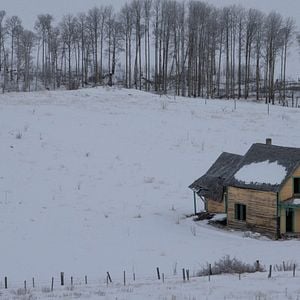 Fotoğraf Light of my Life