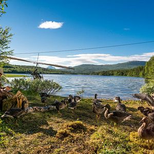 Fotoğraf Donne-moi des ailes