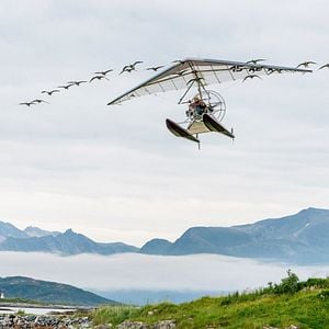 Fotoğraf Donne-moi des ailes